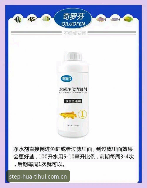 尤文图斯夏季转会窗口操盘思路解析与观赏指南